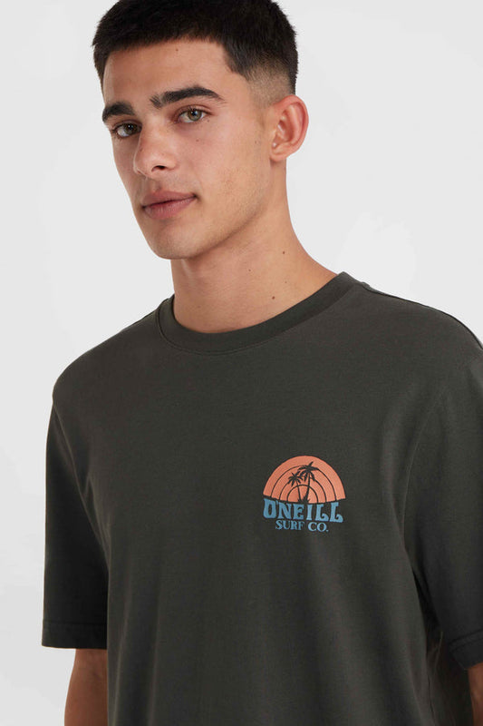 Hawaii surfing t-shirt
